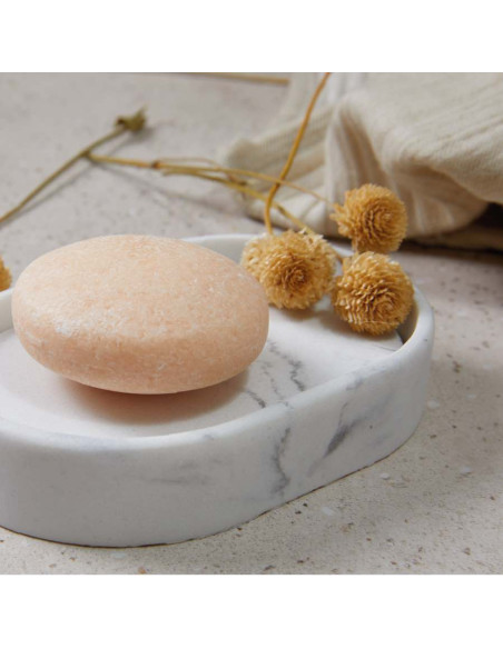 LB CHAMPU DE SANDIA 65 GR