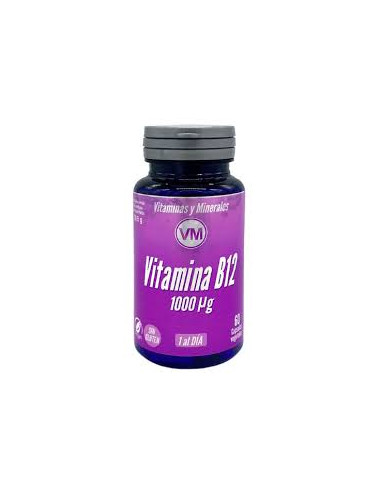 VITAMINA B12 1000U 60 CAPSULAS  YNSADIET